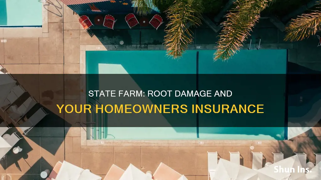 does state farm homeowners insurance cover root damage
