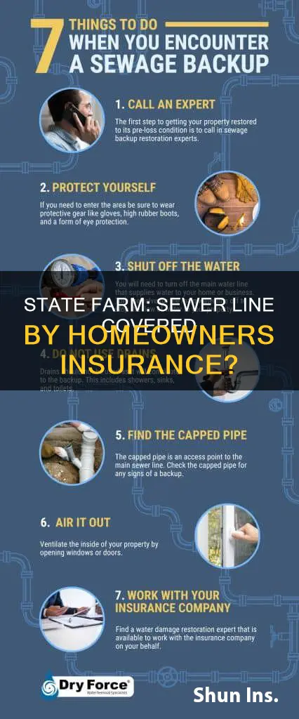 does state farm homeowners insurance cover sewer line
