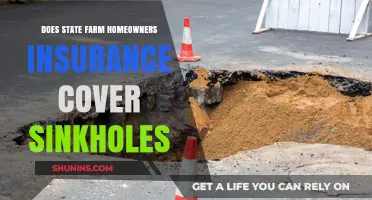 State Farm Homeowners Insurance: Sinkhole Coverage?