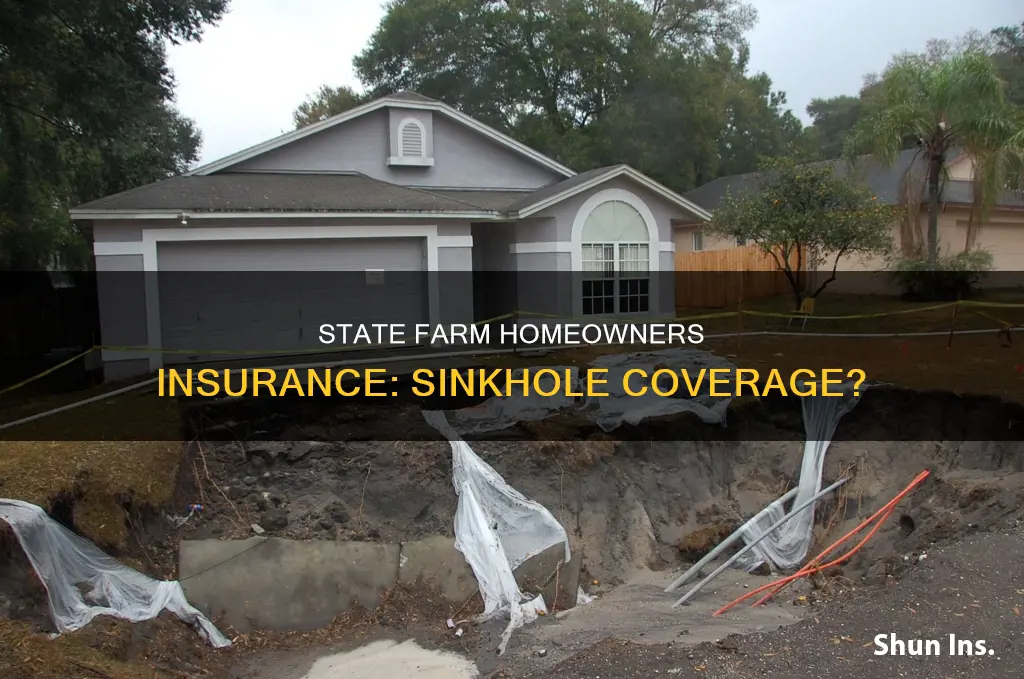 does state farm homeowners insurance cover sinkholes