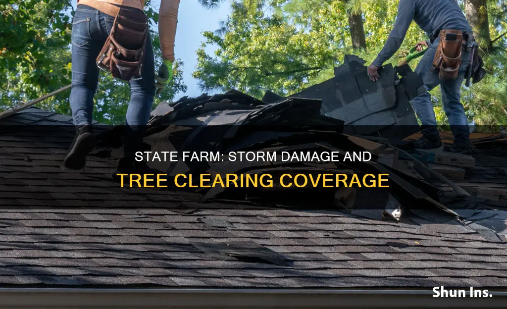 does state farm homeowners insurance cover storm damage tree clearing