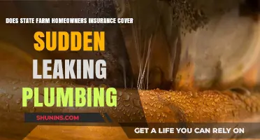 State Farm: What Plumbing Leaks Are Covered?