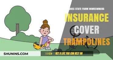 State Farm Insurance: Trampoline Coverage Explained