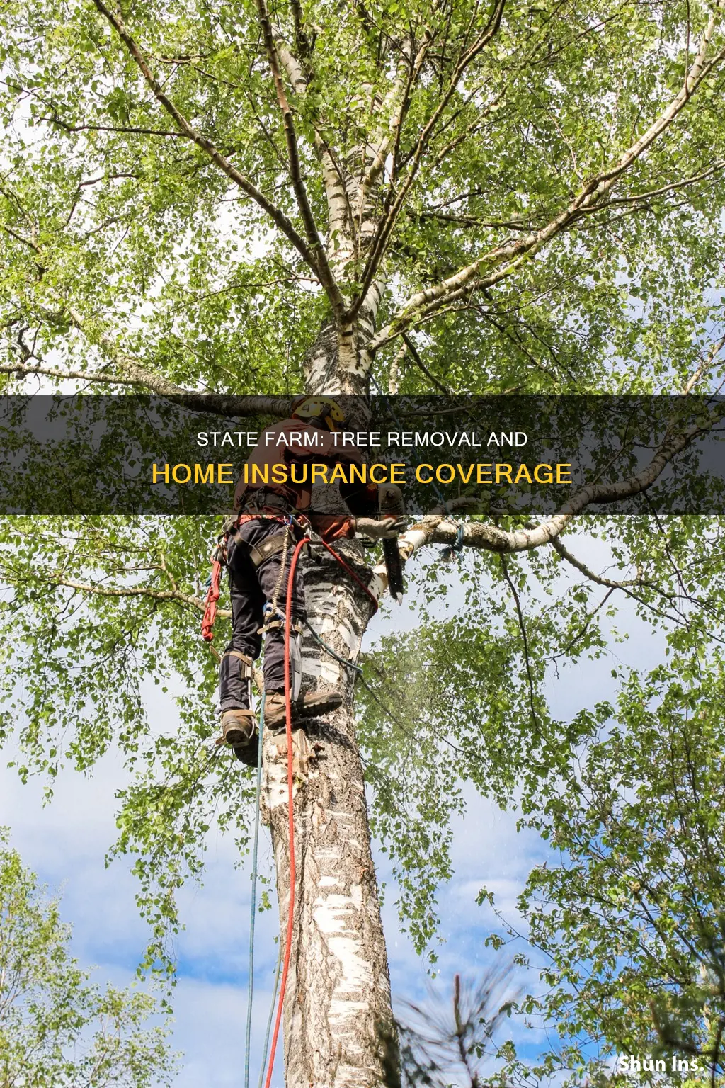 does state farm homeowners insurance cover tree removal