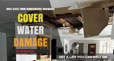 State Farm Home Insurance: Water Damage Covered?