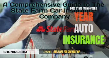 State Farm's Annual Auto Insurance: What You Need to Know