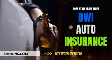 State Farm's Approach to DWI Auto Insurance: What You Need to Know