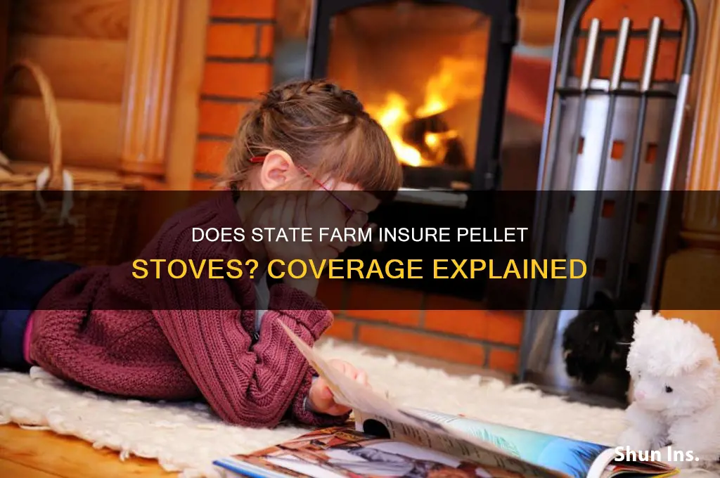 does statefarm insure pellet stoves