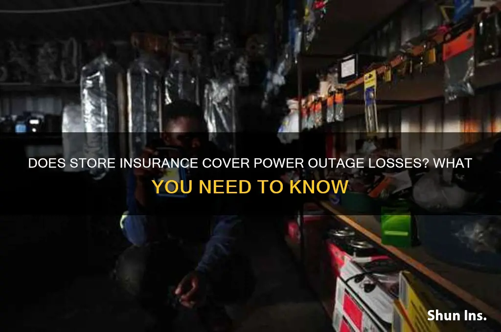 does stores insurance power outage
