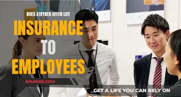 Stryker's Life Insurance Benefits for Employees Explained