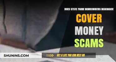 State Farm Insurance: Are You Covered for Money Scams?