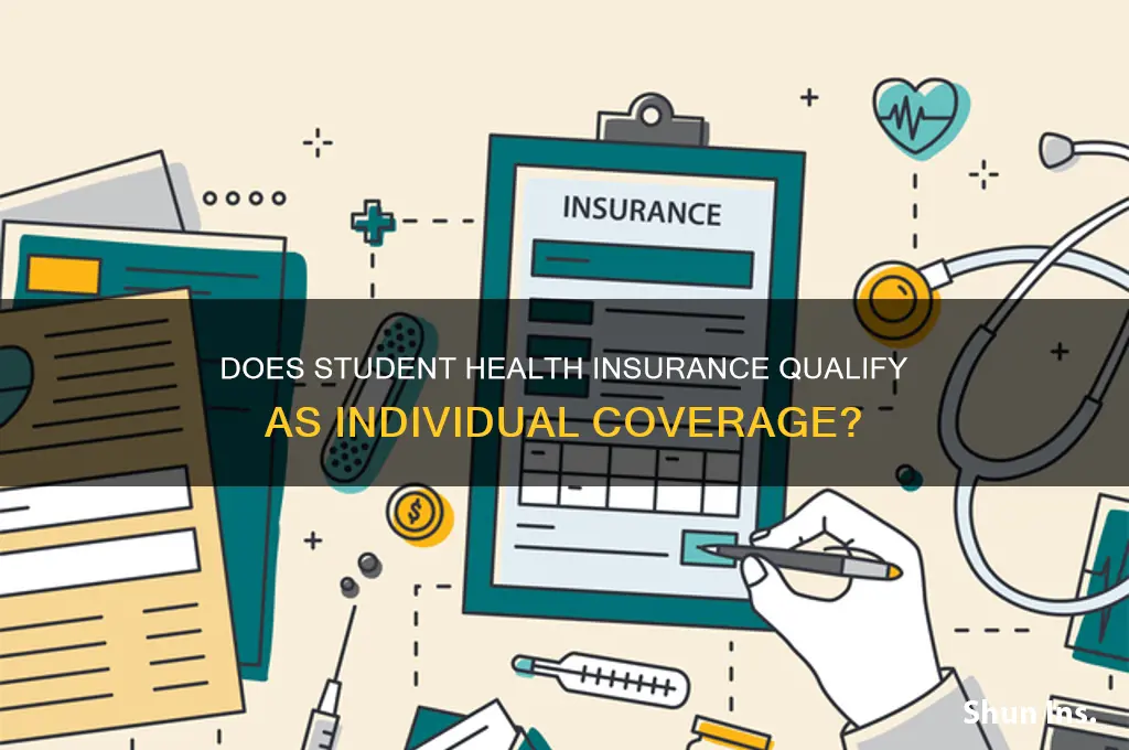 does student health insurance count as individual insturance