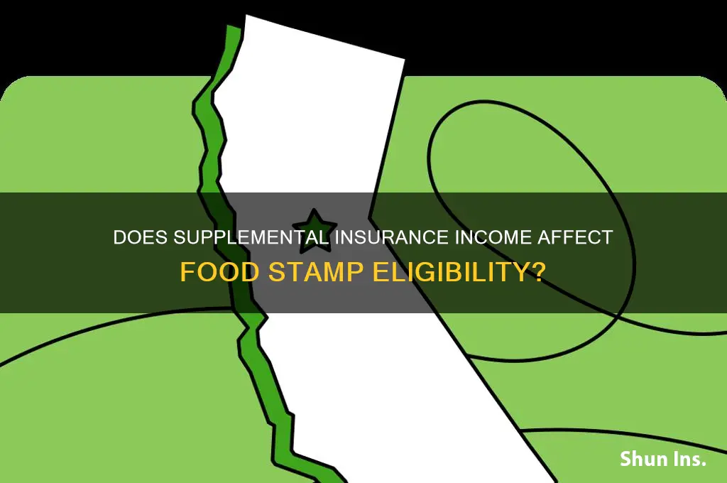 does supplemental insurance income count on food stamps