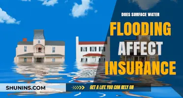 Surface Water Flooding: Insurance and Your Home