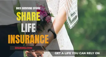 Life Insurance: Who Gets the Payout When You Die?