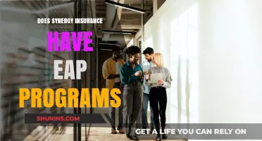 Does Synergy Insurance Offer EAP Programs? Exploring Employee Benefits