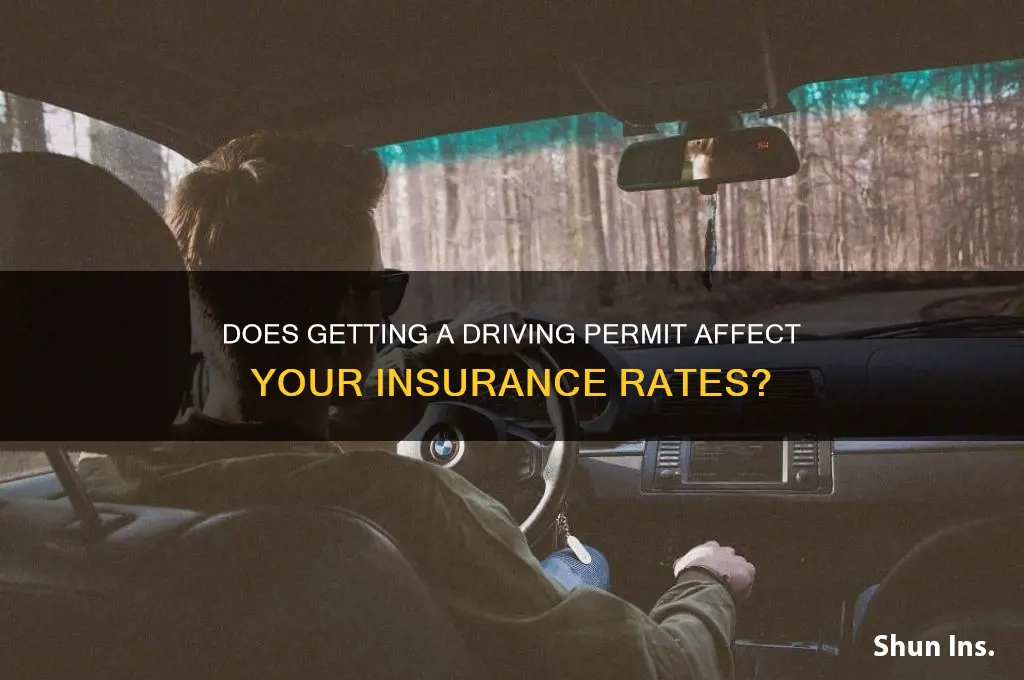 does taking a driving permit increase insurance