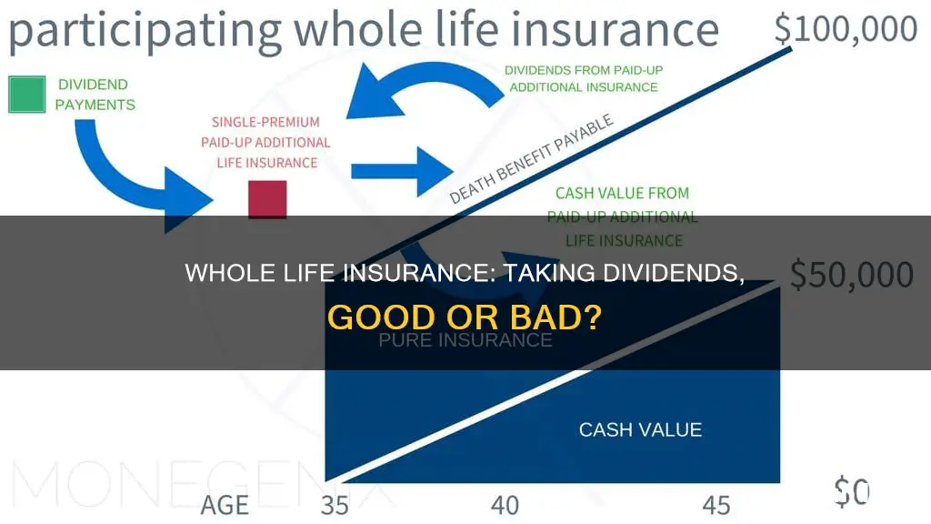 does taking dividends from a whole life insurance