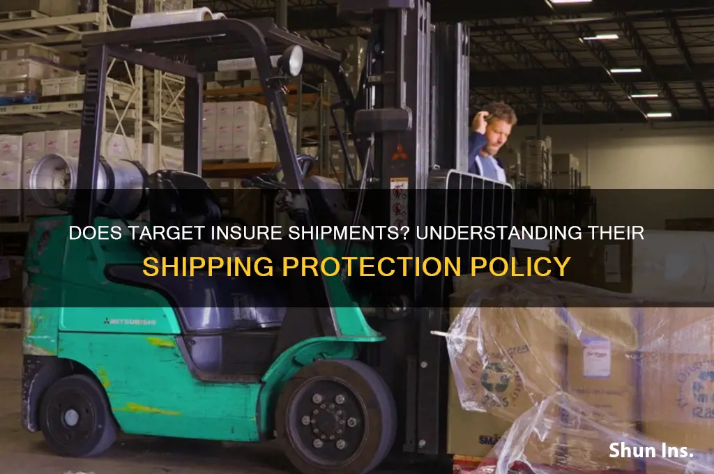 does target insure shipment