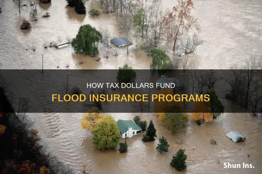 does tax payers supply money to the flood insurance program
