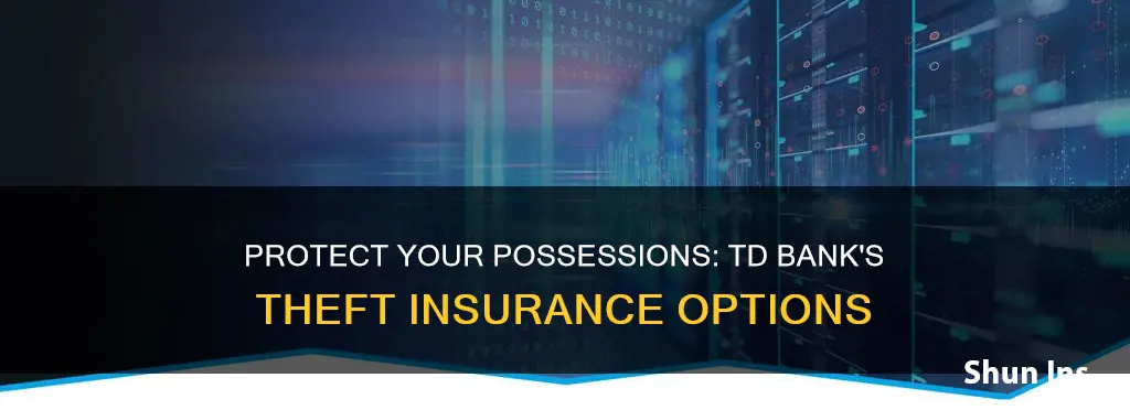 does td bank insure against theft