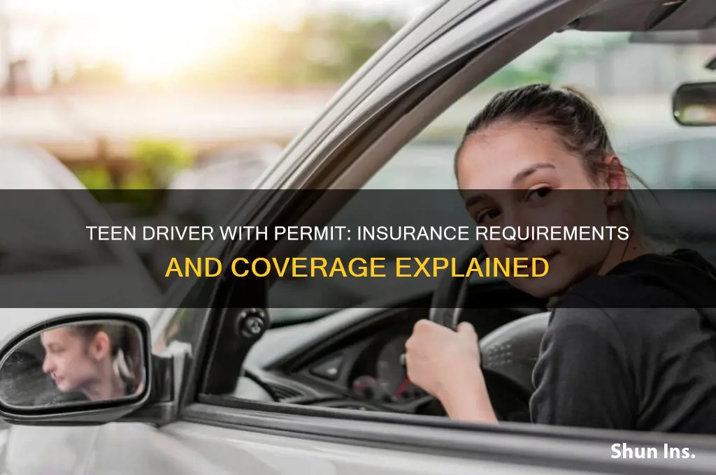 does teen with permit have to be added to insurance