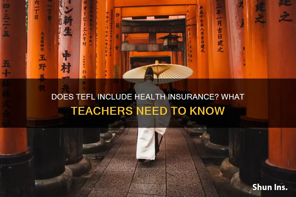 does tefl provide health insurance