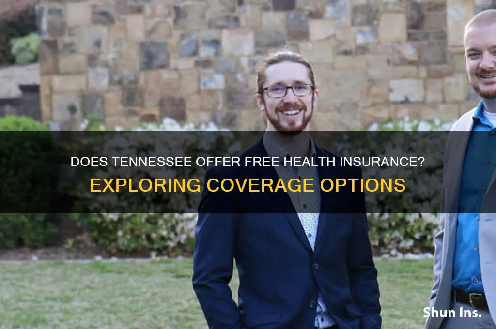 does tennessee have free health insurance