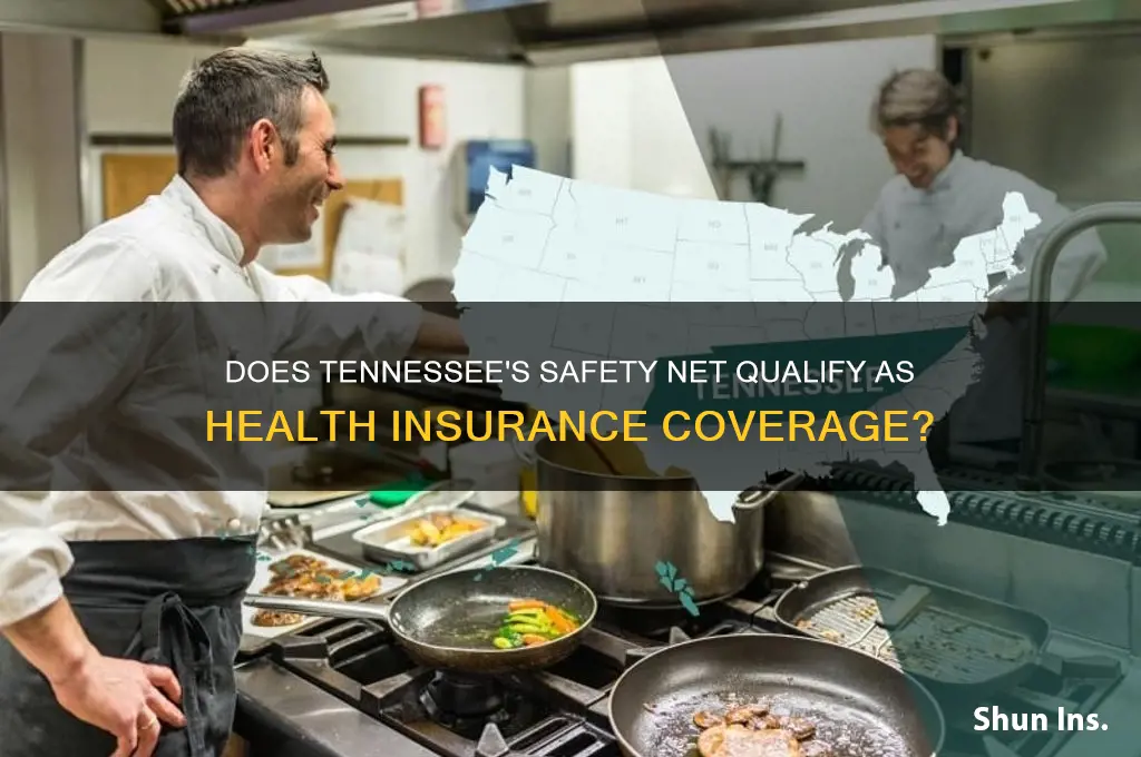 does tennessee safety net count as health insurance