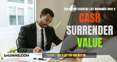 Essential Life Insurance: Cash Surrender Value Explained