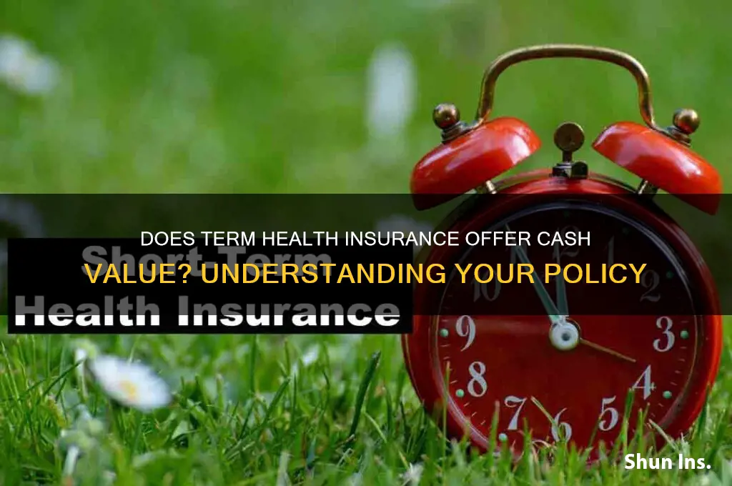 does term health insurance have cash value