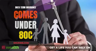 Understanding the Tax Benefits of Term Insurance: Exploring the 80C Connection