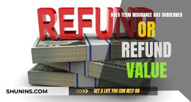 The Truth About Term Insurance: Unraveling the Mystery of Surrender and Refund Values