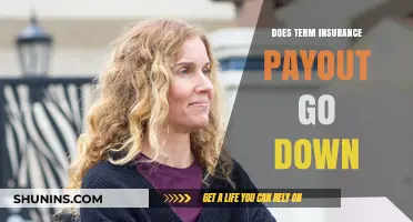Term Insurance: Payout Reduction Over Time?