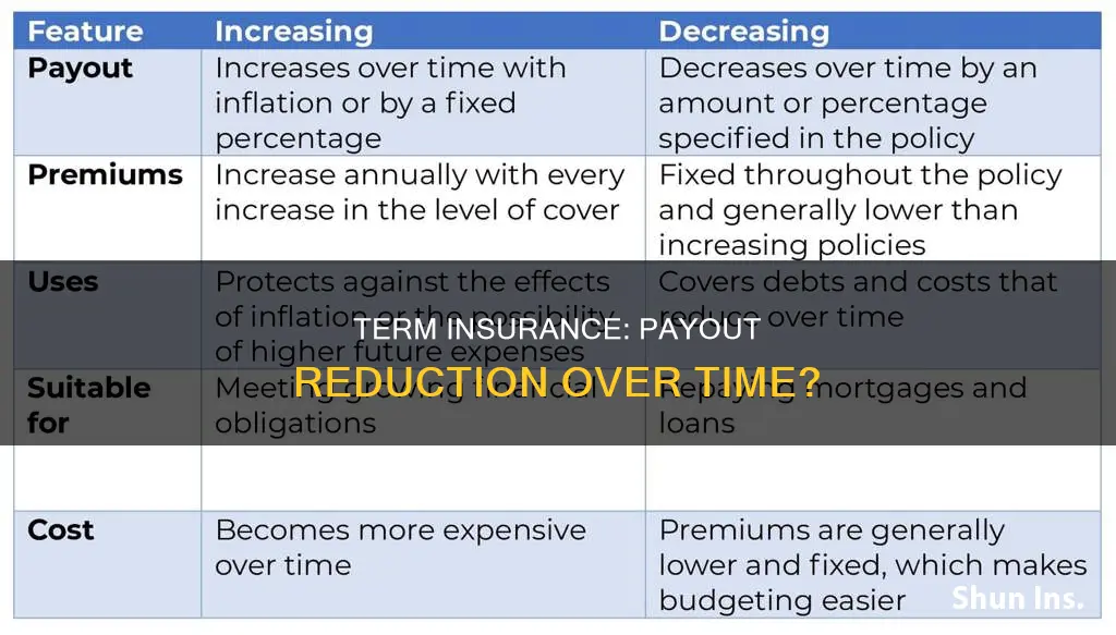 does term insurance payout go down