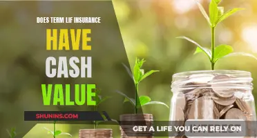 Term Life Insurance: Cash Value or Not?