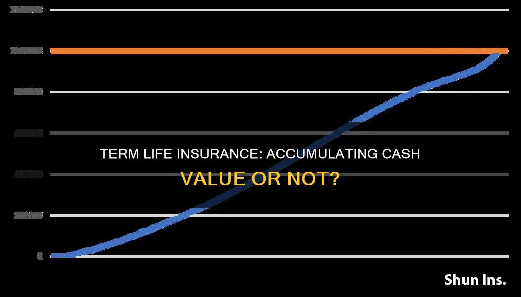 does term life insurance accumulated cash value