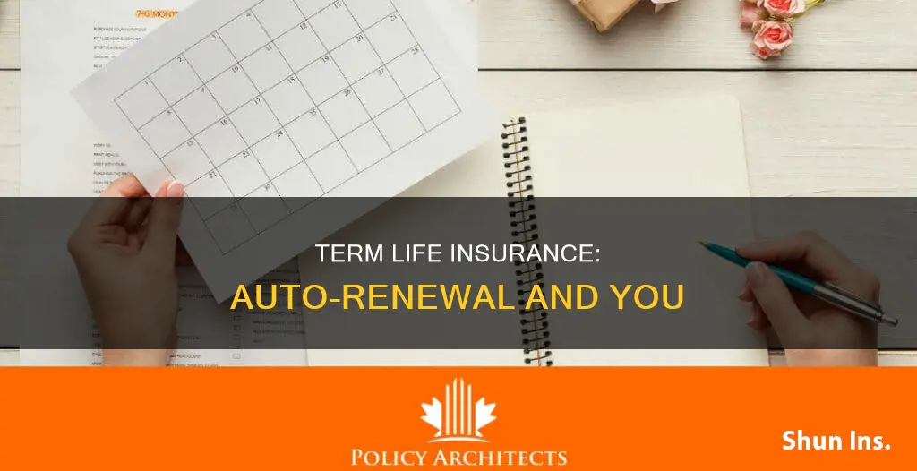 does term life insurance automatically renew