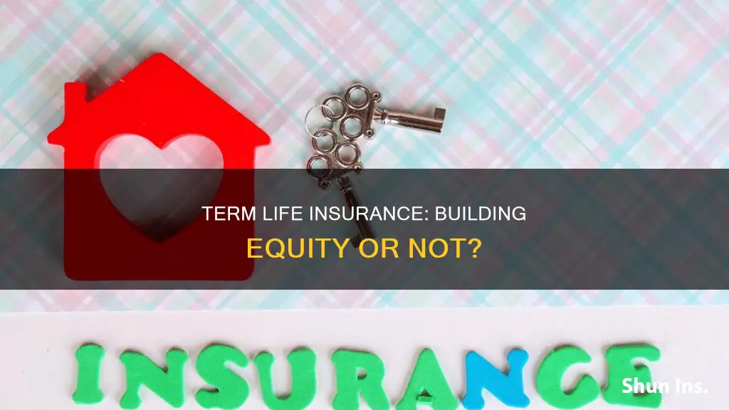 does term life insurance build equity