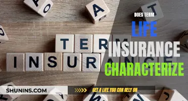 Term Life Insurance: Understanding Its Characterization