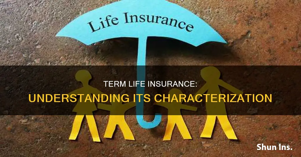 does term life insurance characterized