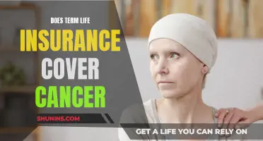 Cancer and Term Life Insurance: What Coverage is Offered?