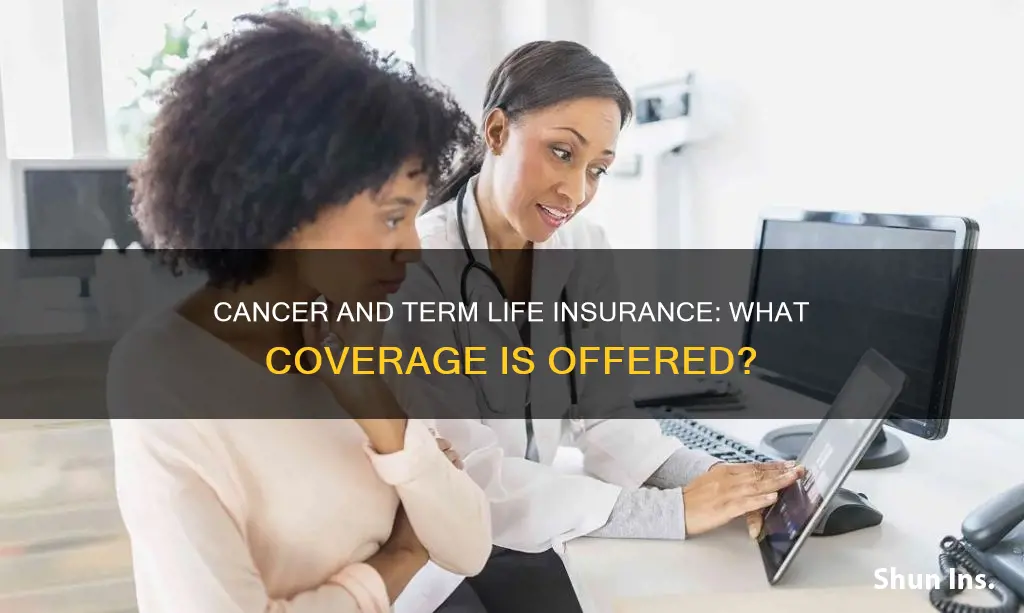 does term life insurance cover cancer