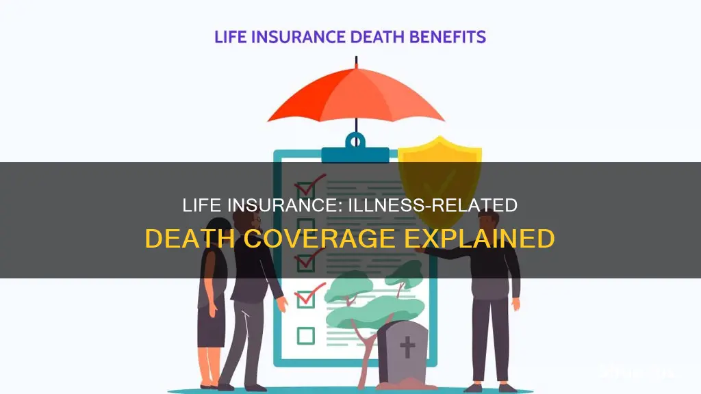 does term life insurance cover death from illness