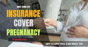 Life Insurance and Pregnancy: What Coverage is Offered?