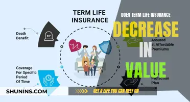 Life Insurance Value: Does Term Insurance Decrease Over Time?