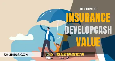 Term Life Insurance: Cash Value Accumulation?