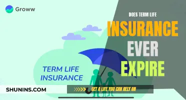 Term Life Insurance: Does It Expire?