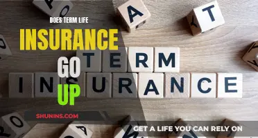 Term Life Insurance: Rising Premiums and What to Expect