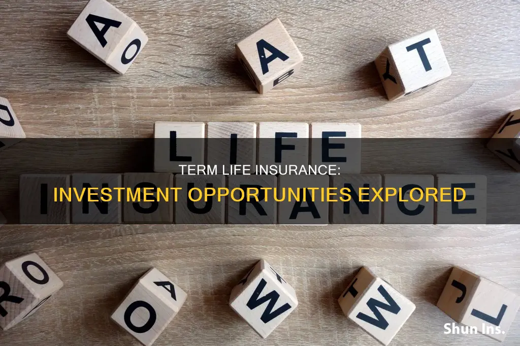 does term life insurance have investment features